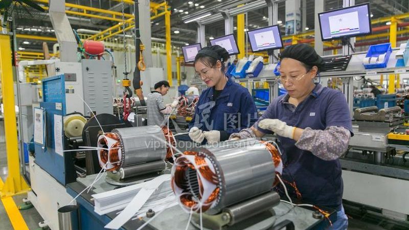 三相异步电机定制与标准电机：揭秘两者间的关键差异